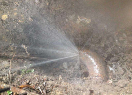 龙子湖消防管道漏水检测